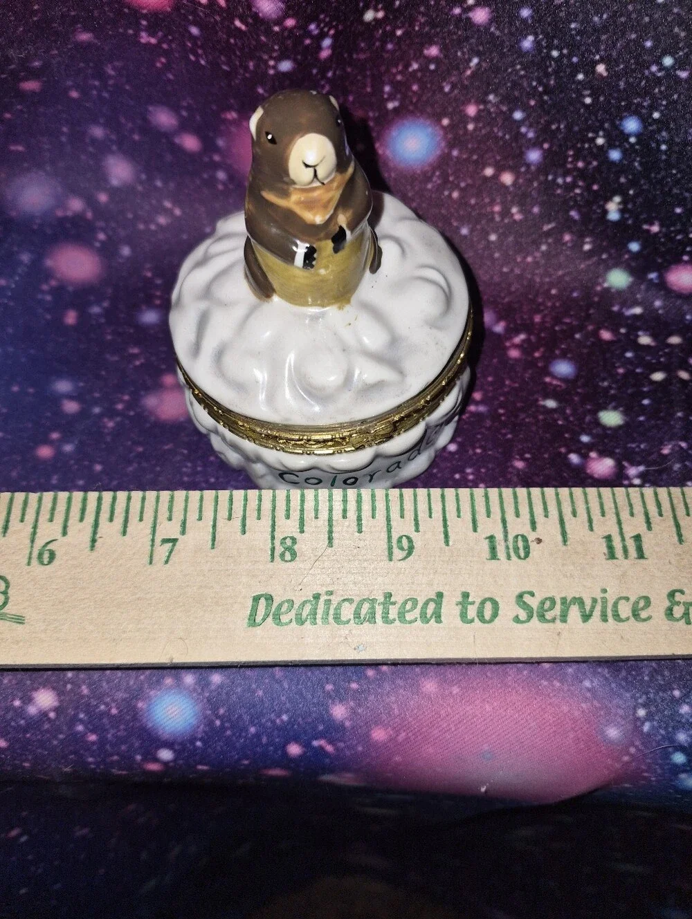 🦫✨ Vintage MSSI Colorado Beaver Glass Trinket Dish / Mini Keepsake Container